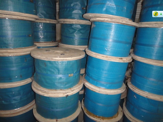 Breeding of special steel wire rope ( Hot-Dip Galvanized Wang)