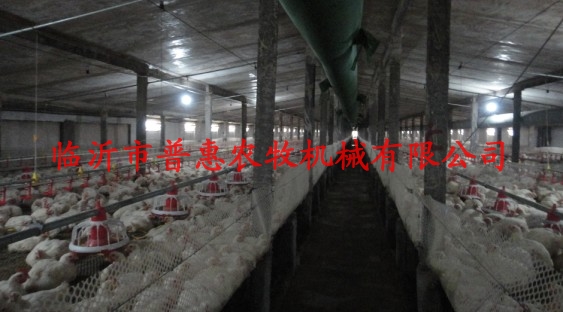 Automatic broiler feeding / broiler feed line / chicken / poultry environment control device for drinking water