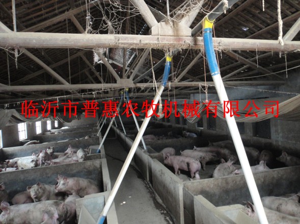 Automatic feeding ( simple pig pig automatic feeding )
