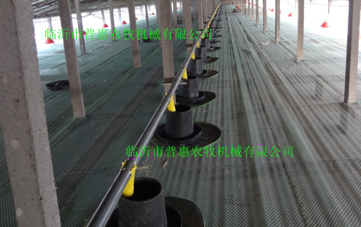 Duck feed line ----75mm network encryption type duck automatic feeding line ( point to open a video link, please watch)