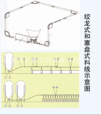 automatic feeding line(screw conveyor,plug tray)