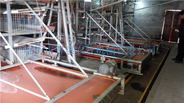 T type laminated broiler cage